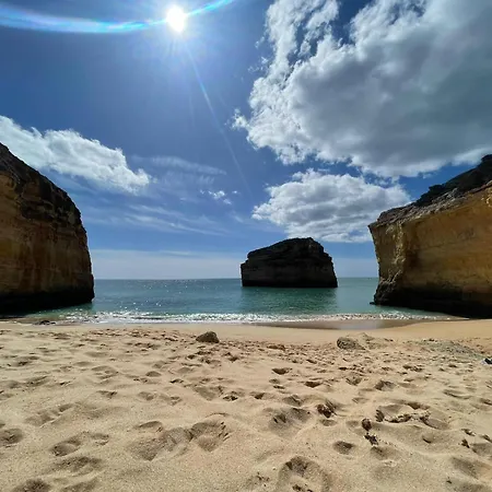 Eco Casa Branca In Nature - Hidden, Unique Paradise *