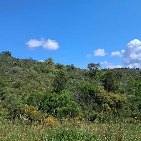 Eco Casa Branca Dom wakacyjny