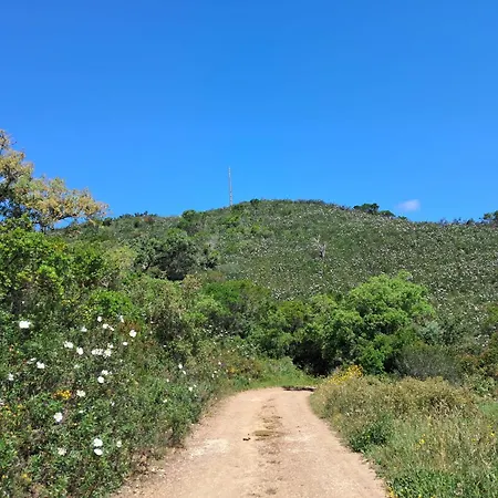 Eco Casa Branca Dom wakacyjny *