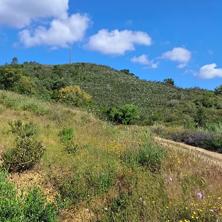 Eco Casa Branca In Nature - Hidden, Unique Paradise * Aljezur