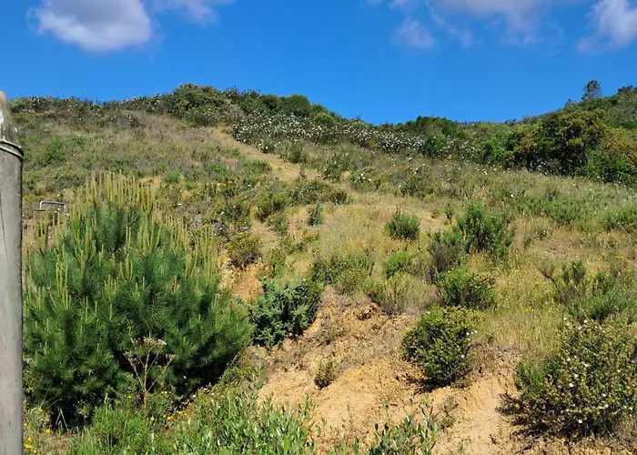 Eco Casa Branca In Nature - Hidden, Unique Paradise Aljezur