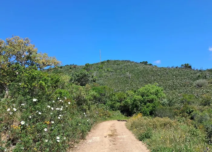 Eco Casa Branca In Nature - Hidden, Unique Paradise Vakantiehuis *