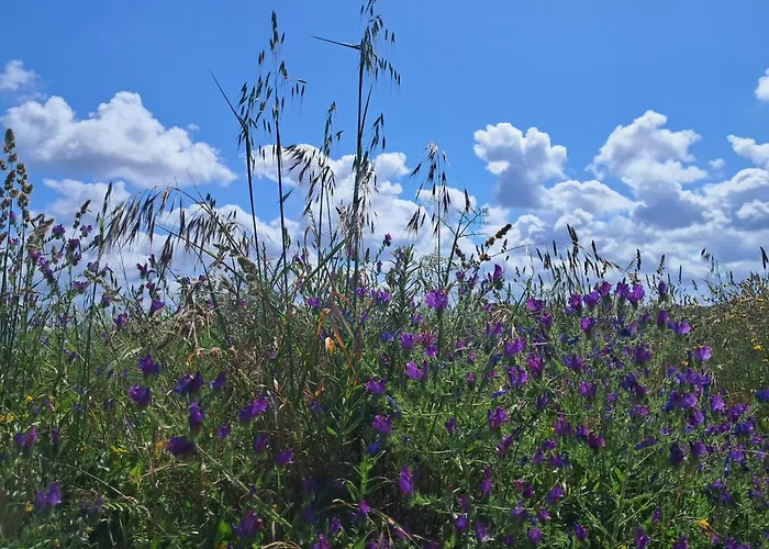 Eco Casa Branca In Nature - Hidden, Unique Paradise Vakantiehuis *