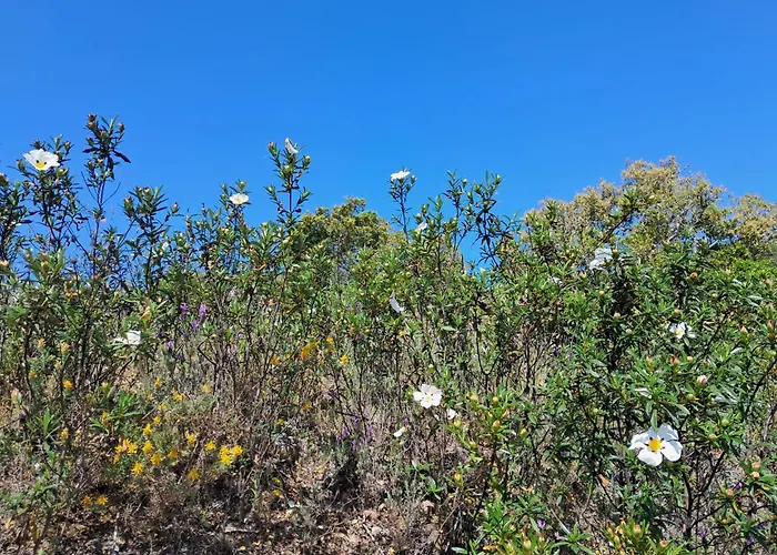 Eco Casa Branca In Nature - Hidden, Unique Paradise * Aljezur