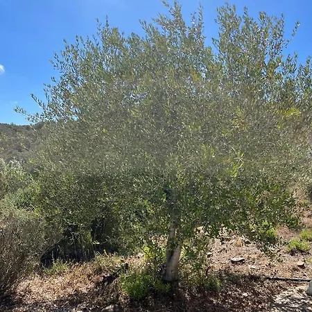 Σπίτι διακοπών Eco Casa Branca *
