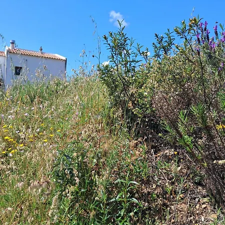 펜션 Eco Casa Branca In Nature - Hidden, Unique Paradise 알제주르
