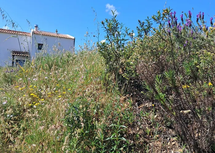 度假居 Eco Casa Branca In Nature - Hidden, Unique Paradise 阿尔热祖尔