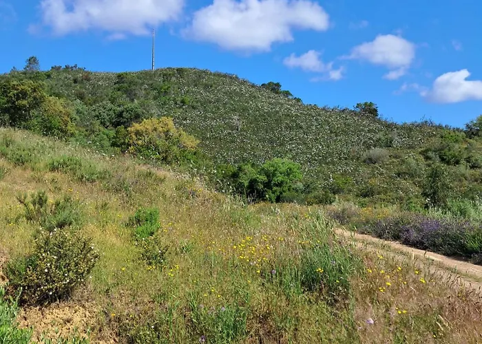 Eco Casa Branca In Nature - Hidden, Unique Paradise * 阿尔热祖尔