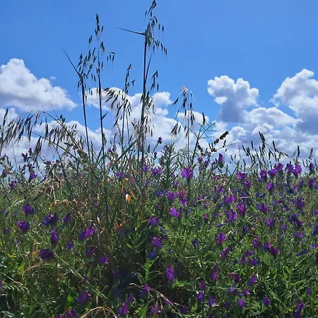 Eco Casa Branca In Nature - Hidden, Unique Paradise Holiday home *