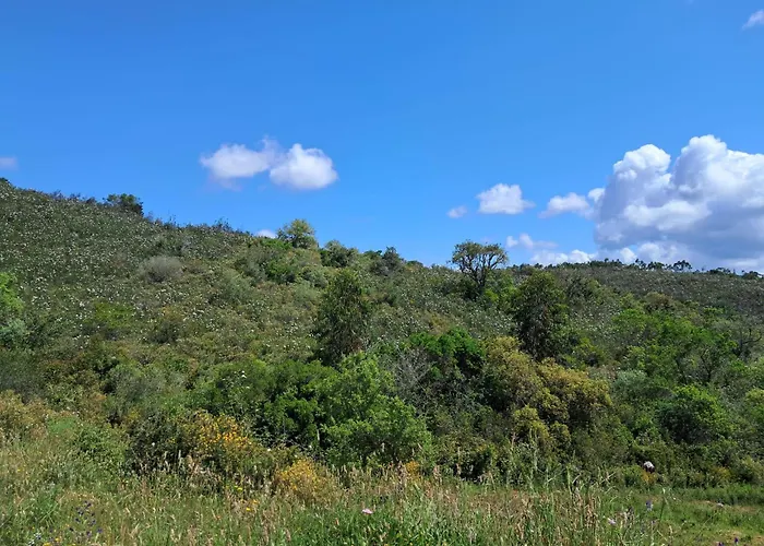 Eco Casa Branca In Nature - Hidden, Unique Paradise Holiday home